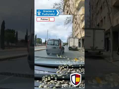 Sin contar con el resto - Dashcams España thumbnail