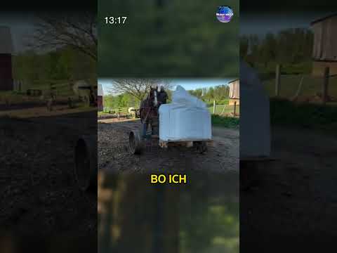 Najbardziej Ekologiczny Ładowacz Czołowy thumbnail
