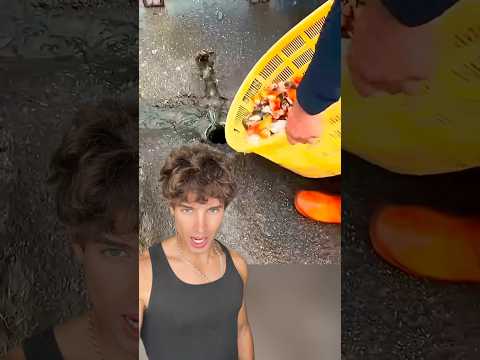 Arrojó todos los peces por la calle thumbnail