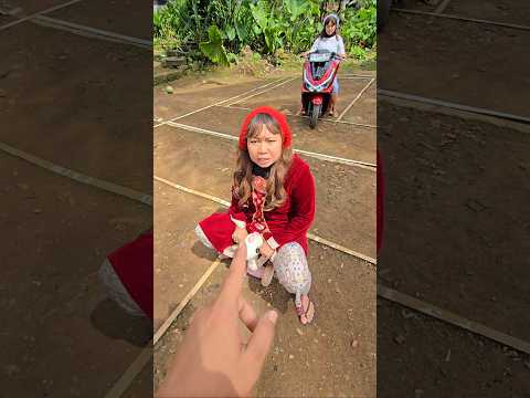 otong mau ikut numpang kebawang merah#trendingshorts thumbnail