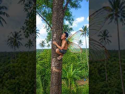 เมื่อจักจั่นร้องลั๋นต้นไม้ | Noisy cicada thumbnail