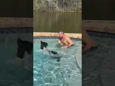 Swimming ? @beckichoward thumbnail