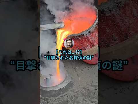 【これは...!?】名探偵を目撃したワイ【2ch面白いスレ】 thumbnail