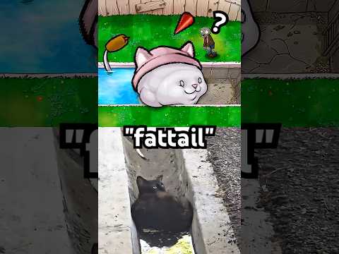 The Fattail #pvz #plantsvszombies thumbnail
