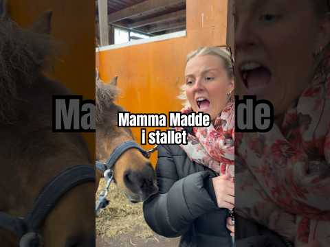 Vi öppnar upp kommentarsfältet för stalltrauman👇🏼 thumbnail