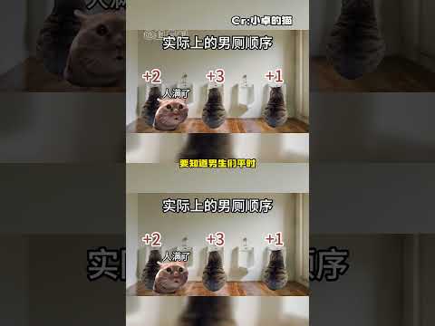 原来大家都觉得男厕所设计不合理啊 #男厕所 #万万没想到 #离谱 thumbnail