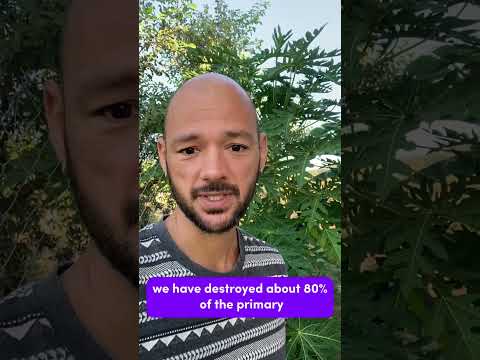 An environmental education that transforms thumbnail