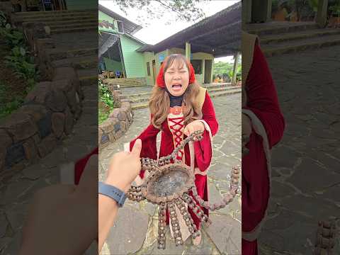 bawang merah ini hewan apa namanya#trendingshorts thumbnail