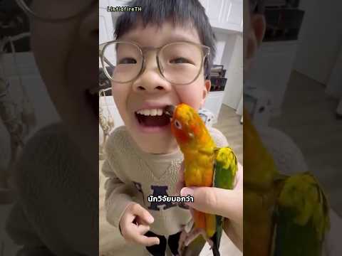 " นกทันตแพทย์ " thumbnail