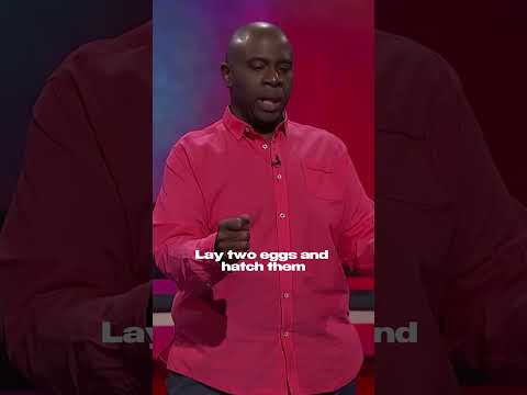 They don't make comedy like this anymore 😂 thumbnail