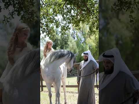 مهما الليالي | مشاري راشد العفاسي thumbnail