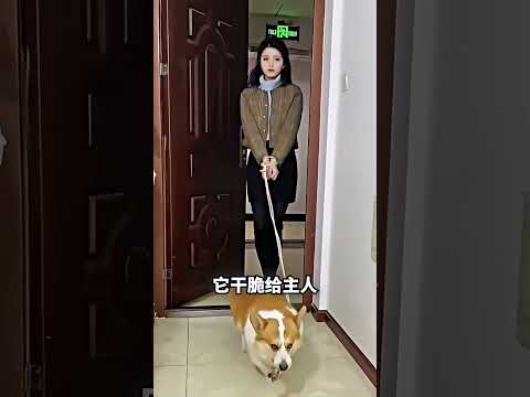 狗狗拿瓶子换饭，最后直接带回女朋友? thumbnail