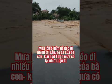 Mưa lớn ở Quảng Ninh thumbnail