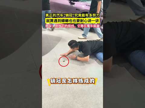 真正的汽車"銷冠"究竟能有多努力，就算遇到蟑螂也也要耐心講一講，網友：別擋它的視線，它是在看車底盤！#shorts thumbnail