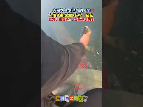 大哥钓鱼搞笑瞬间... thumbnail