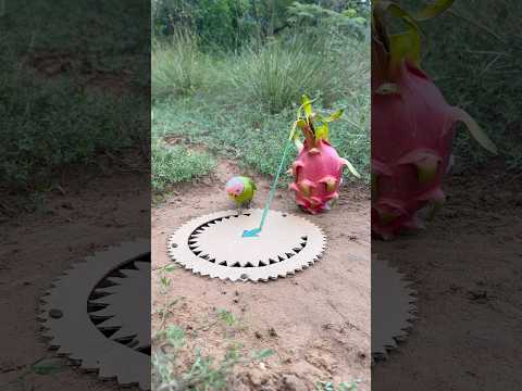 Creative Parrot Trap Using paper & deep hole #shorts thumbnail