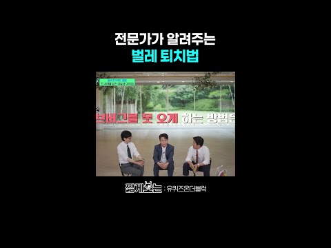 미리 알아둬야 할 러브버그 피하는 법 #유퀴즈온더블럭 thumbnail
