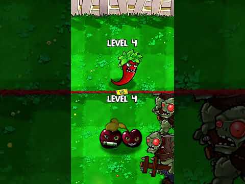 PVZ Evolution - Jalapeno Vs. Cherry Bomb🌶️🍒💥(PVZ) #pvz #plantsvszombies thumbnail