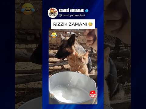 ORGANİK YAŞAMIN SON SEVİYESİ ? #shorts #komikyorumlar thumbnail