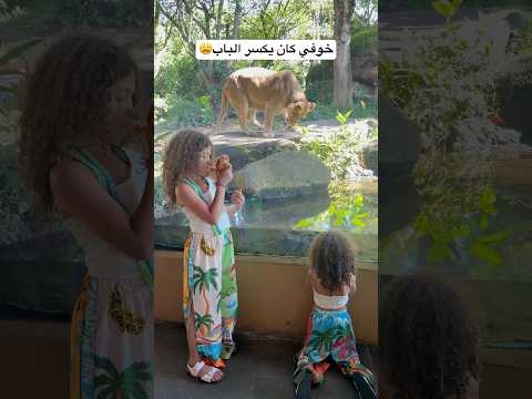مين قلبو قوي يوقف مع الاسد🤣🤣 #اكسبلور #viralvideo #shortvideo #سياحة #explorepage #lion thumbnail