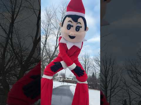 Elf on the Shelf Dancing?? thumbnail