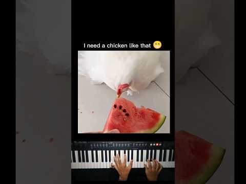 How to train a chicken 🐔 thumbnail