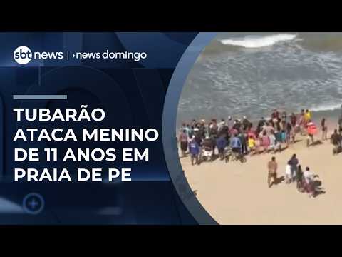 Criança é mordida por tubarão e fica gravemente ferida em PE | #NewsDomingo thumbnail