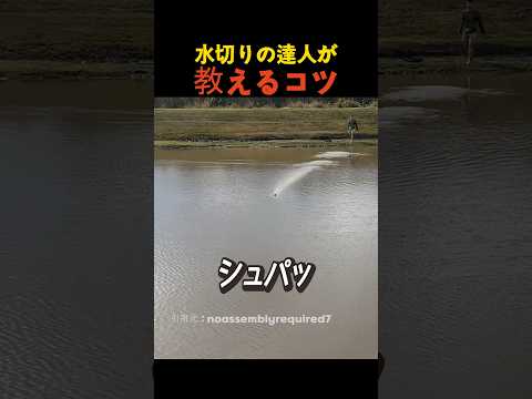 水切りの達人が教えるコツ thumbnail
