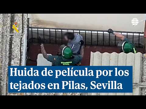 Huida de película por los tejados en Pilas, Sevilla thumbnail