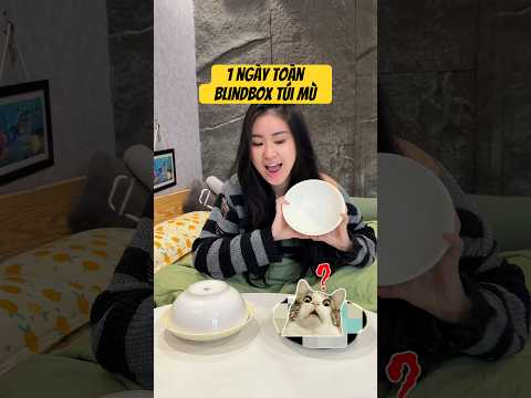 1 Ngày Toàn Blindbox Túi Mù … Xem Nhân Phẩm Có Ra Sít Rịt 🤡 #shorts || Yến Nồi Cơm Điện thumbnail