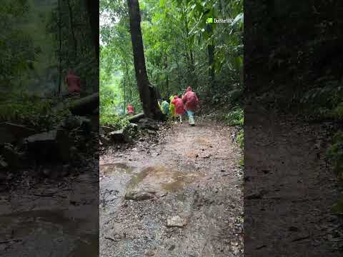 Anh Em Đã Gọi tại Say Hi Rực Rỡ rồi các mom ơi...  #DaiNganChamBienXanh #ChamGiaLai #SayHiRucRo thumbnail