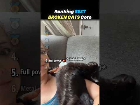 Ranking BEST BROKEN CATS Core Moments!! 🐱💻 thumbnail