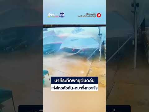 นาทีระทึกพายุฝนถล่ม เก๋งไหวตัวทัน-หมาวิ่งกระเจิง thumbnail