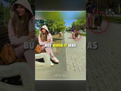 She Tested If Her Dogs Remembered Her… ?? #shorts thumbnail