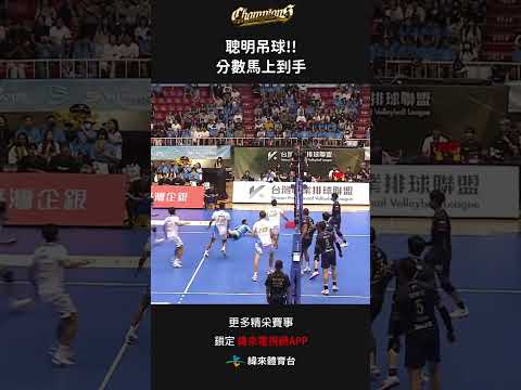 #TPVL  劉鴻敏輕輕一撥 聰明吊球 分數馬上到手#桃園雲豹飛將 #台鋼天鷹#shorts thumbnail