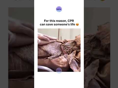 For this reason, CPR can save someone's life 😍 thumbnail