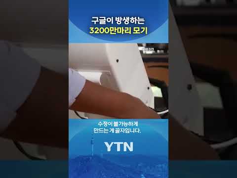 3200만마리 불임 모기 방생 #shorts / YTN thumbnail