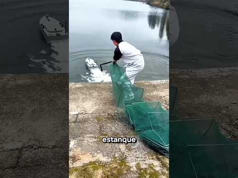 Este Mini Bote Tiene Un Trabajo Secreto 😳🎣 thumbnail
