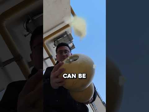 This Gourd Is Forced To Turn Into Something Useful🤯 thumbnail