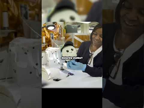 Glitch w NASA? Prawda o kosmicznych maskotkach. thumbnail