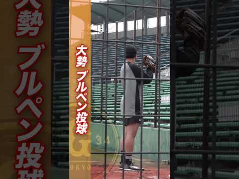 【真後ろから見る大勢のブルペン投球】巨人1軍試合前練習 5/12(火) #shorts thumbnail