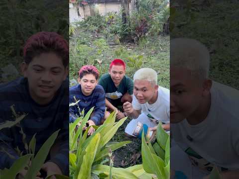 Kalian punya temen gini juga ga, anaknya tu suka prank dompet di pinggir jalan #shorts #lucu #kocak thumbnail