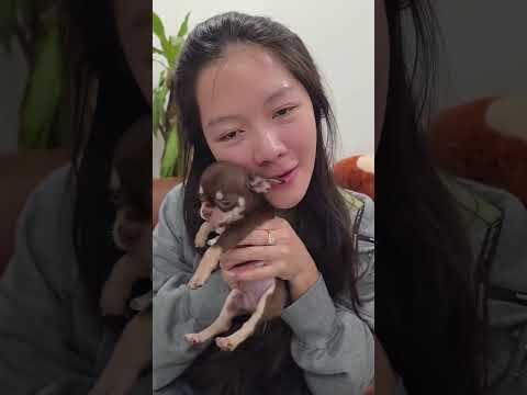Mới đi Hàn có 10 ngày mà Milo đã biết quá nhiều thứ... #ongthibalong thumbnail