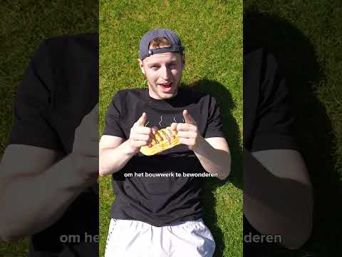 Wij dagen jou uit… ?️ thumbnail