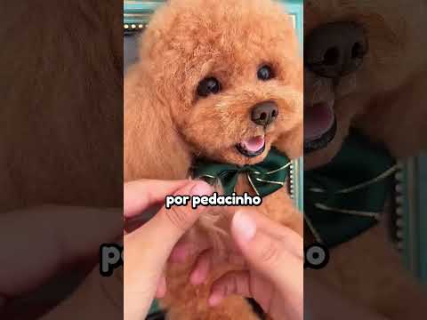 Ela trouxe seu animal de volta à vida ❤️ thumbnail