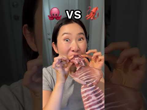 Octopus ?  vs Squid ? thumbnail