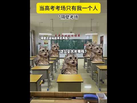 当高考考场只有我一个人 #猫meme #猫meme小剧场 #高考 #搞笑 #万万没想到 thumbnail