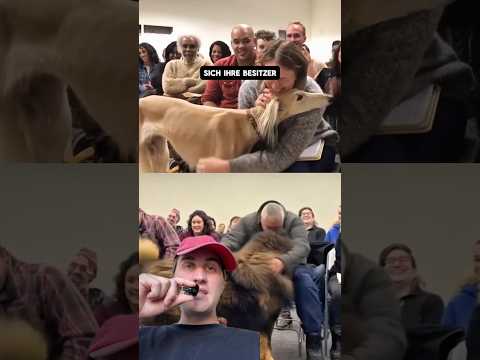 Echte Liebe STATT KI-Fake. #tiere #gesundheit #wissen #fakten thumbnail