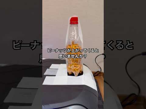 柿の種でブラジルナッツ効果やってみた #shorts #おもしろ動画 #やってみた thumbnail
