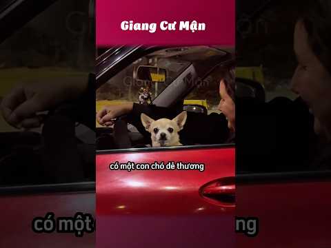 Nhiều hơn chúng ta nghĩ 👏 #giangcuman thumbnail
